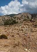 Above the gorge of Aradena