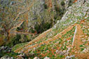 Kalderimi in the gorge of Aradena