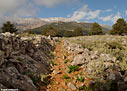 The path to Agios Ioannis