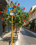 Road sign and hibiscus in the old town of Chania