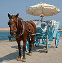 Horse-drawn carriage, Chania harbour