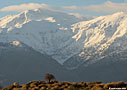 Winter morning in Aptera