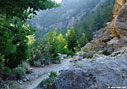 Sun in the gorge of Agia Irini 