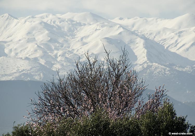 Spring on Akrotiri - Click to enlarge