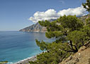 In the forest, closer to the sea and Agios Pavlos