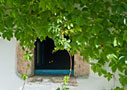Window of a chapel