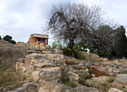 Palace of Knossos
