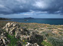 Near Chryssi Akti