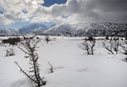 On the plateau of Omalos
