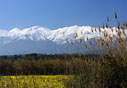 The White Mountains from Kalyves