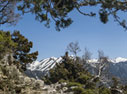 Above Omalos on the path to Gingilos