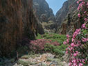 In the gorge of Aradena