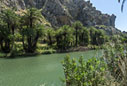 The palm forest of Preveli 