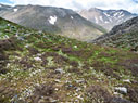 Spring time in Plakoseli