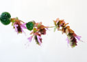A stem of Origanum dictamus