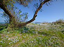 Spring time at the beach 
