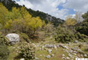 Spring in Omalos