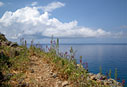 On a coastal path