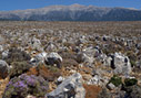 Rocky landscape