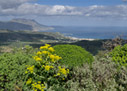 View from the acropolis of Polyrinia 