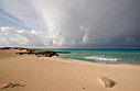 Winter beach