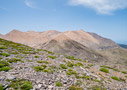 Spring in the White Mountains