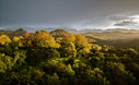 Autumn sunset 