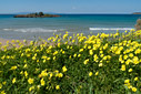 Spring time by Kalathas beach