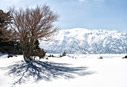The plateau of Omalos in winter