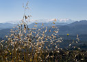 On the summit of Gingilos