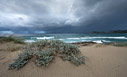 Storm in Falasarna
