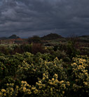 Rain clouds