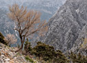 Spring in the mountains