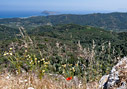 Platanias and Thodorou island