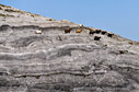 Goats in the mountains