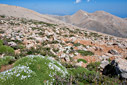 On Pachnes summit