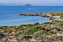 Maxerida