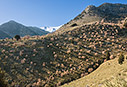 Morning light in the mountains
