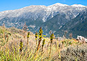 Spring time in Anopolis