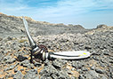 Crashed plane in the White Mountains