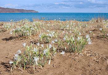 Crete photo of the day