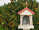 A roadside shrine by an orange grove