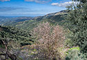 In the hills above Meskla
