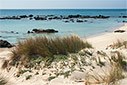 Elafonisi