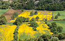 Spring in Krapi
