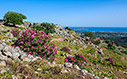 On a walk up the Kastellos hill