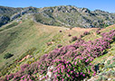 On a walk up the Kastellos hill to Debla