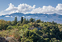 The Roupakias forest, Apokorona