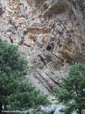 Cliff in the gorge of Samaria