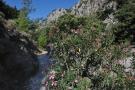 The gorge of Agia Irini